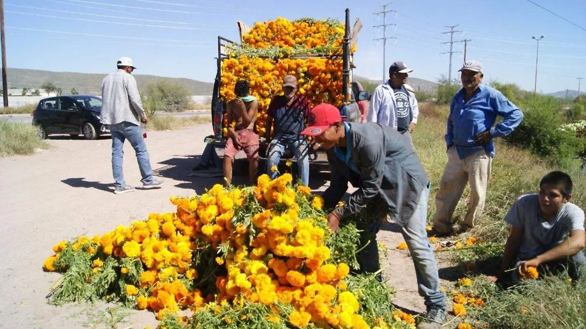 flores-día-de-muertos (1)